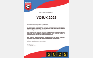 Vœux 2025 