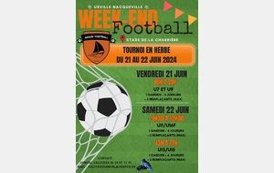 U13 Tournoi sur herbe 5 vs 5 - ASSUN Football  (copie)