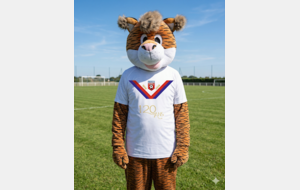 U8 / U9 - Gouter de fin de saison au Stade